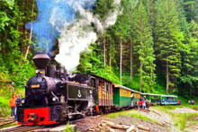  Discover Maramures Day Tour