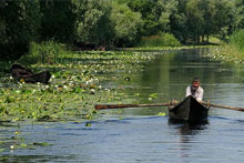 Danube Delta Day Trip