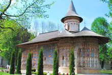 Painted Monasteries Day Trip