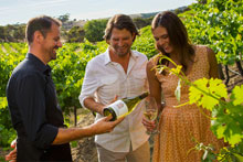 Romanian Wine Tasting Tour