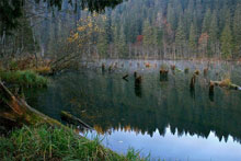  2 Days Discover Bucovina Tour