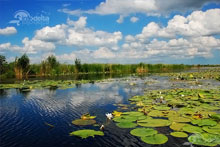 2 Days Danube Delta Tour